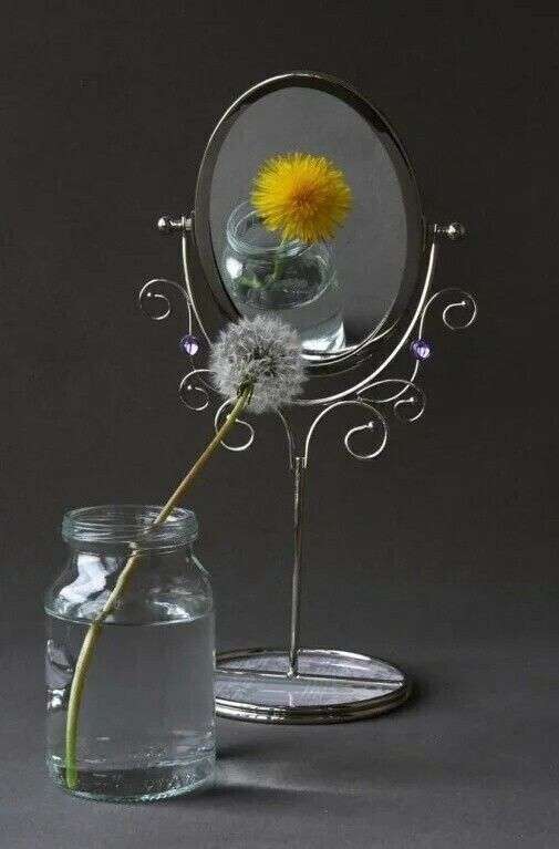 A glass jar of water holds a dandelion stem beneath an ornate oval mirror, which reflects the flower’s bright yellow bloom against a dark background.
